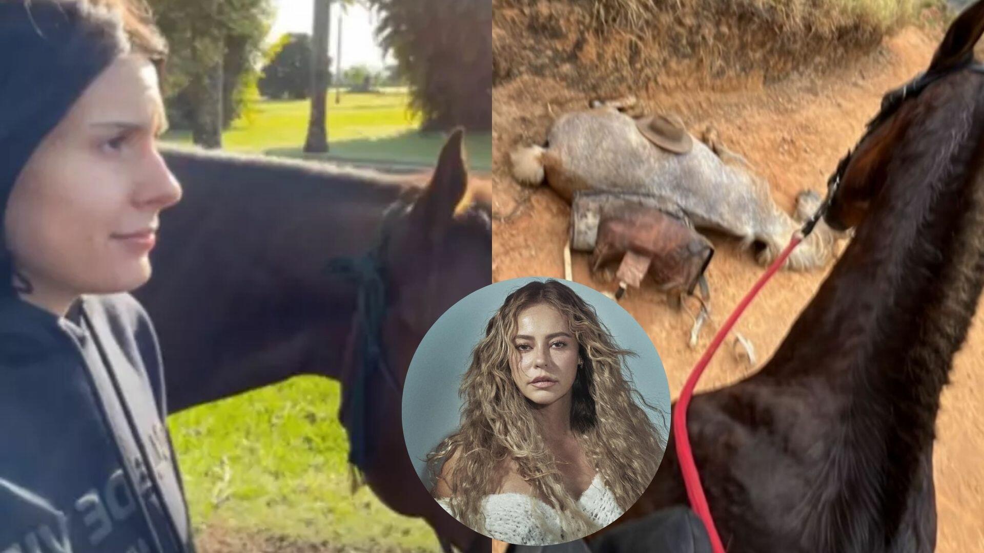 ana castela cavalo