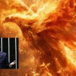 fenix