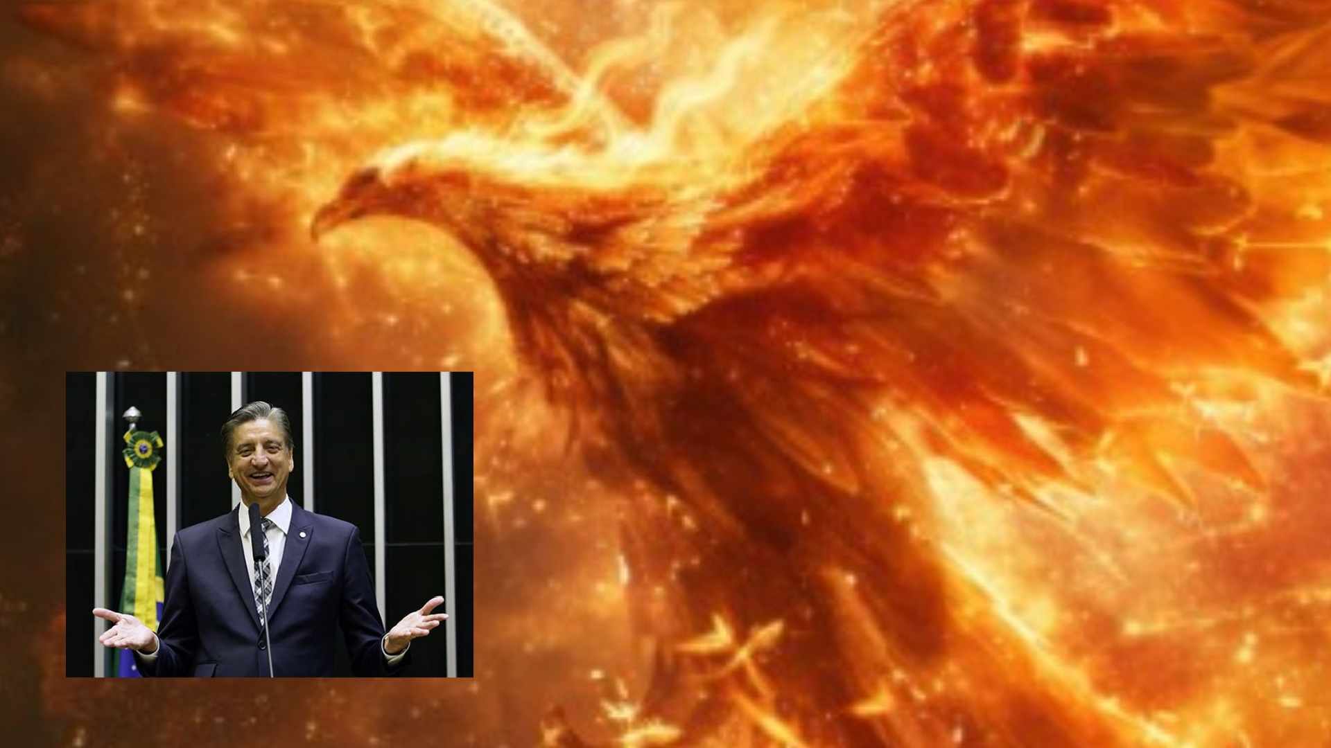 fenix