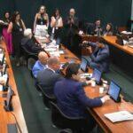 Comissão, Câmara projeto