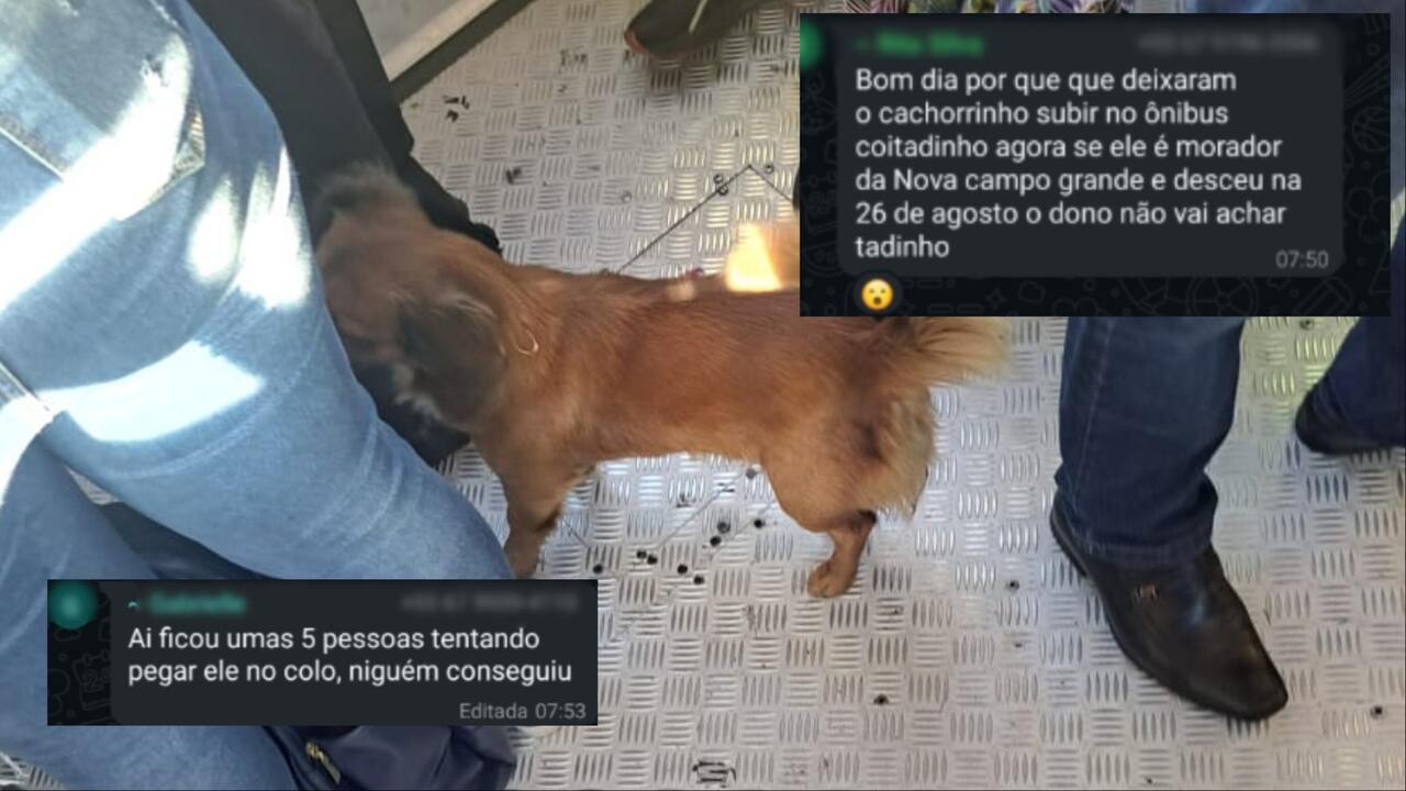 Tetel