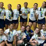 Voleibol de MS