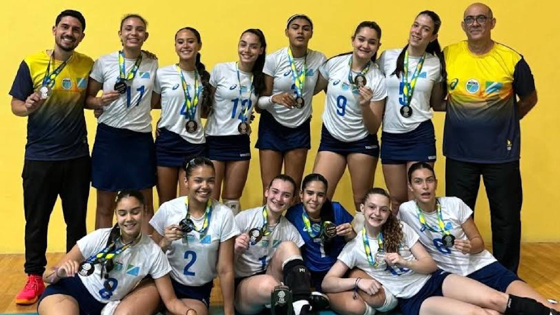 Voleibol de MS