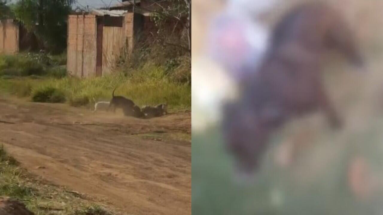ataque