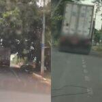 caminhao