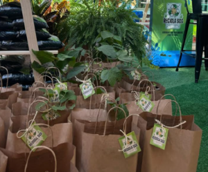 distribuição de sementes em campo grande dia da árvore