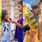 influenciadores mirins ms