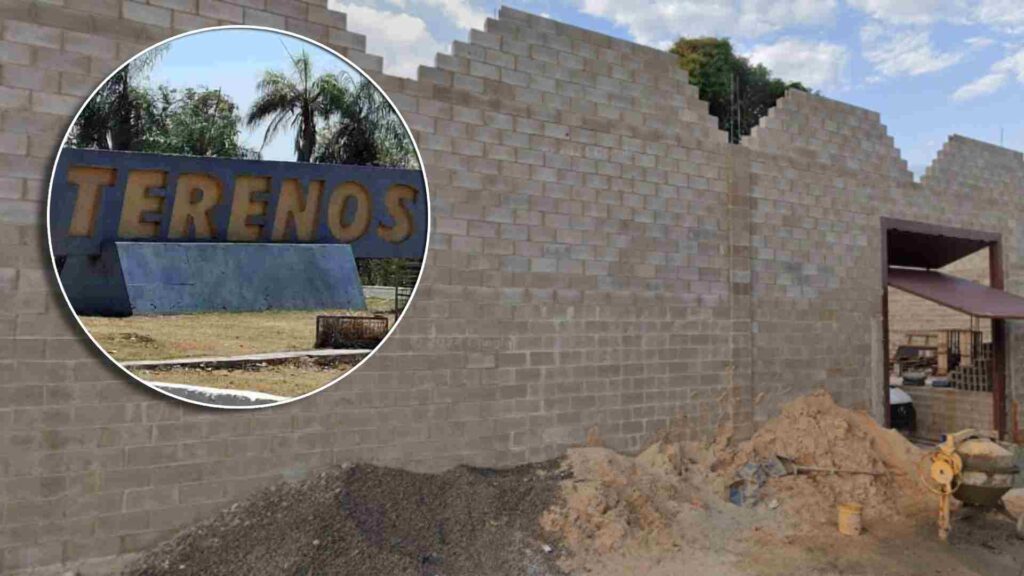 terenos spotless