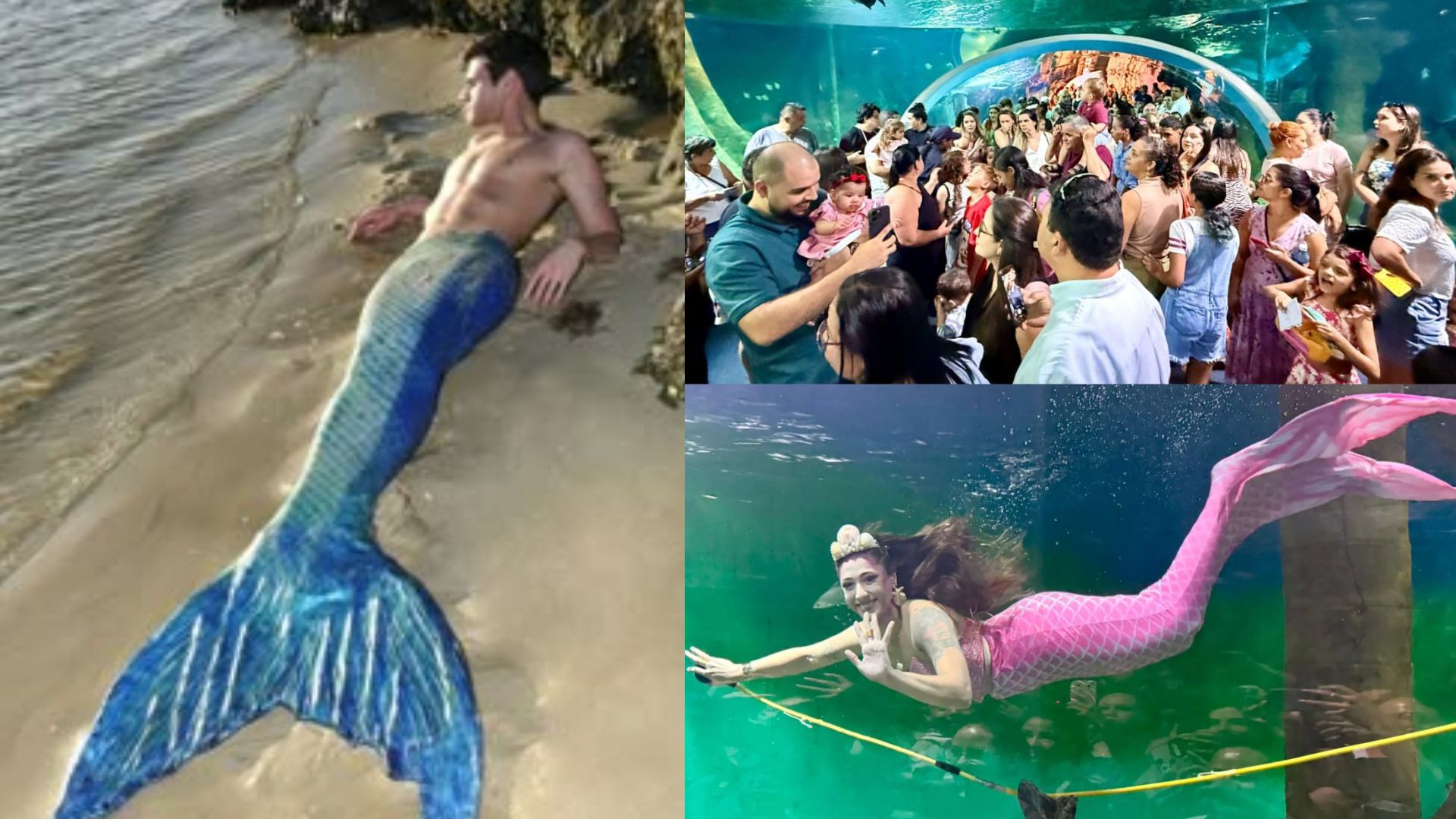 sereio bioparque 2