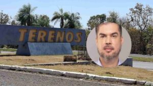 vice terenos