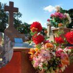 visita a cemiterio fim de semana em campo grande