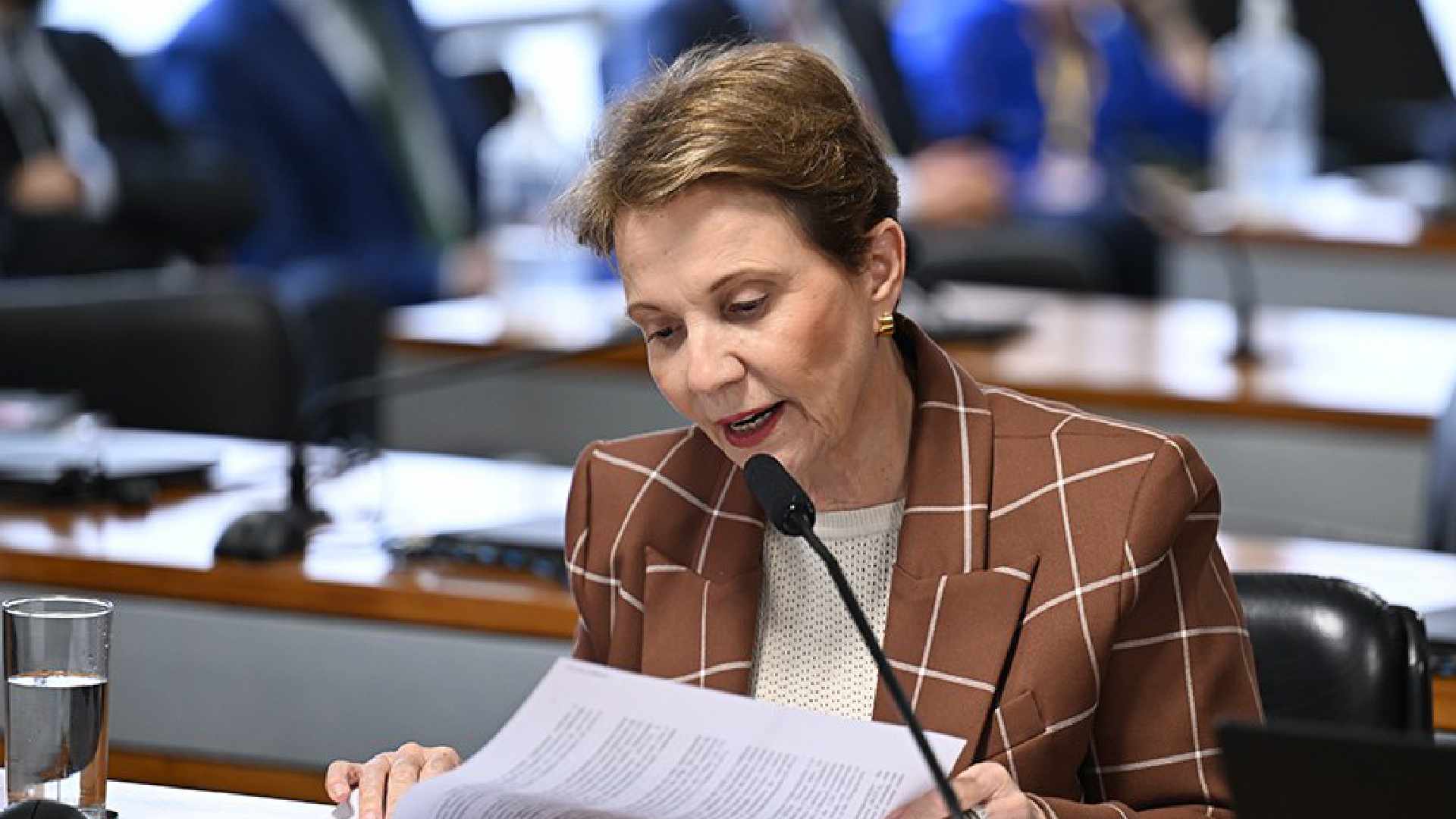 tereza cristina