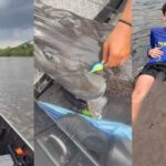 GAROTO DE 13 ANOS PESCA PEIXE DE 179 MATO GROSSO DO SUL 2