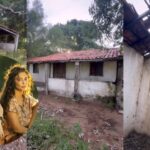 TAPERA DE JUMA EM FAZENDA DE MS