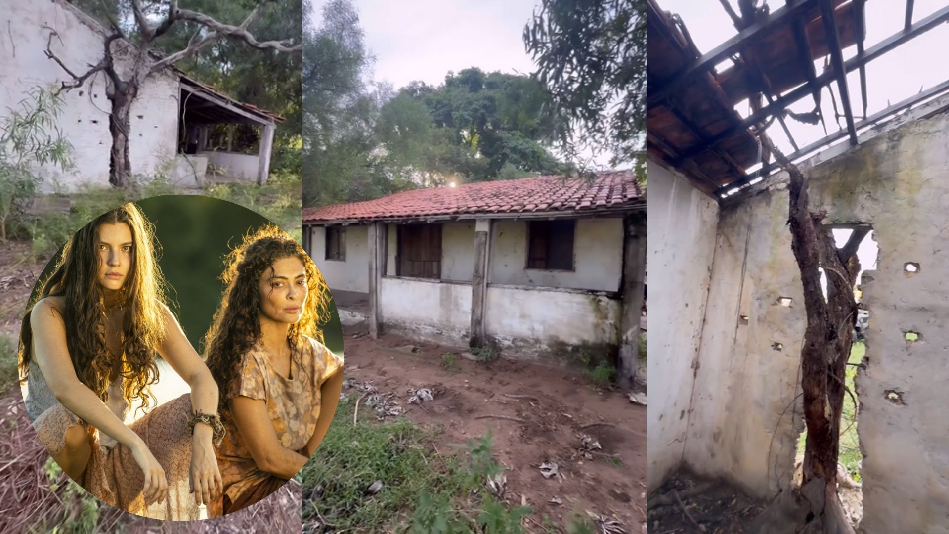 TAPERA DE JUMA EM FAZENDA DE MS