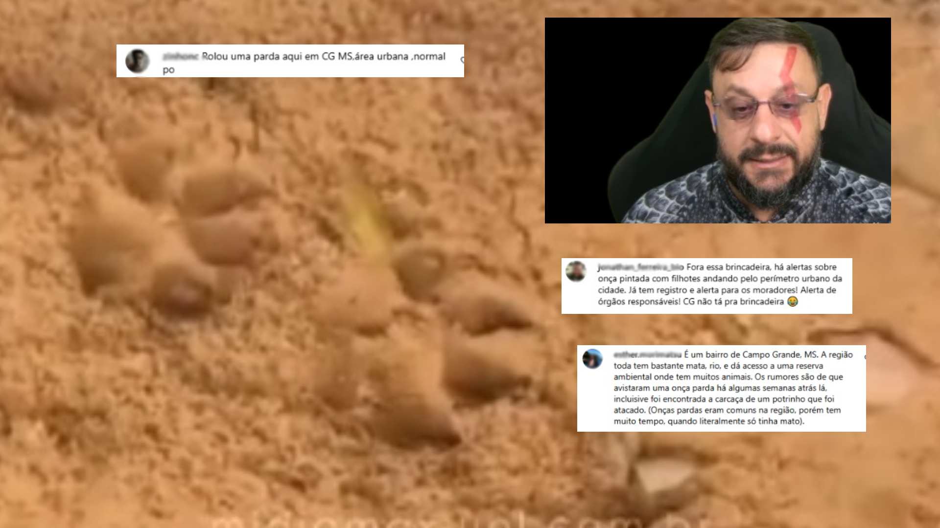 biologo onça