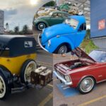 exposição carros