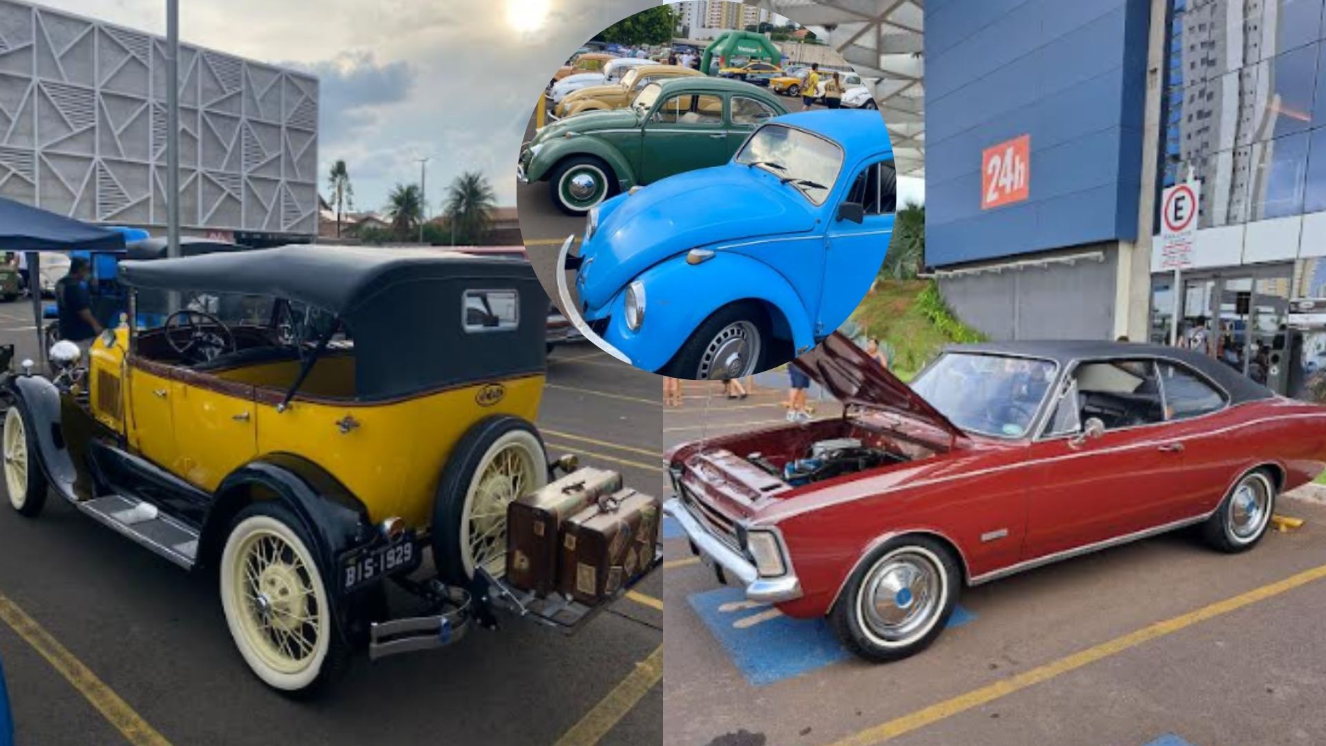 exposição carros