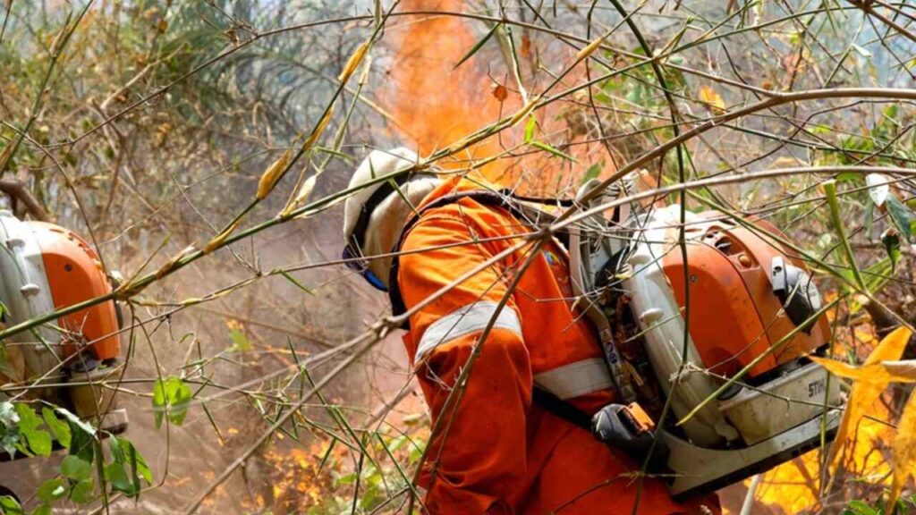 fogo incendio serra