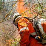 fogo incendio serra