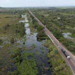 pantanal