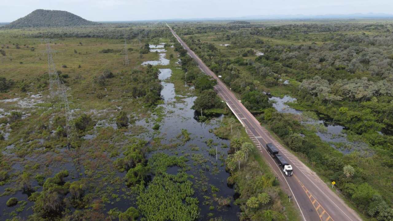 pantanal