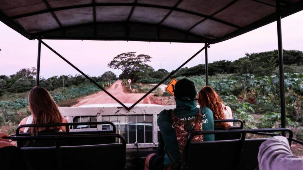 pantanal