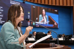 Mês mais letal: deputados debatem sobre feminicídios em MS