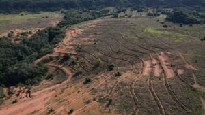 Parque Estadual Nascentes do Rio Taquari receberá nos dias 10 e 11 de dezembro um mutirão de plantio