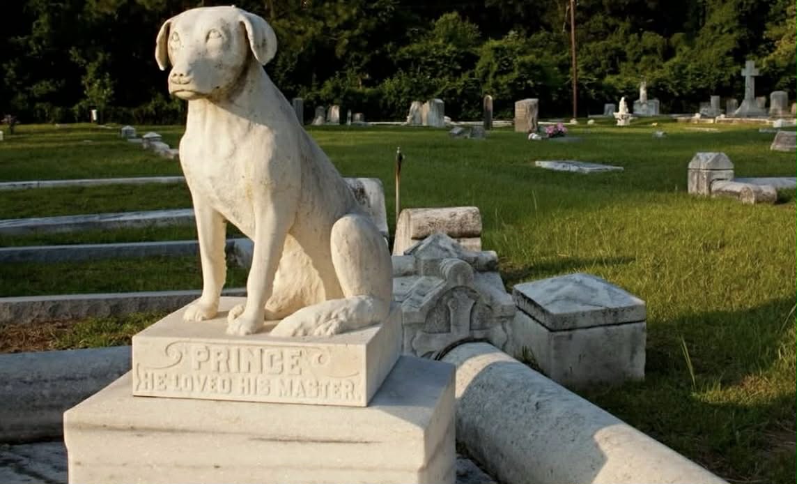 contioutra.com - Enterrar pets no jazigo da fam&iacute;lia? Nova lei em SP libera; veja quem pode e quando chega a outros estados