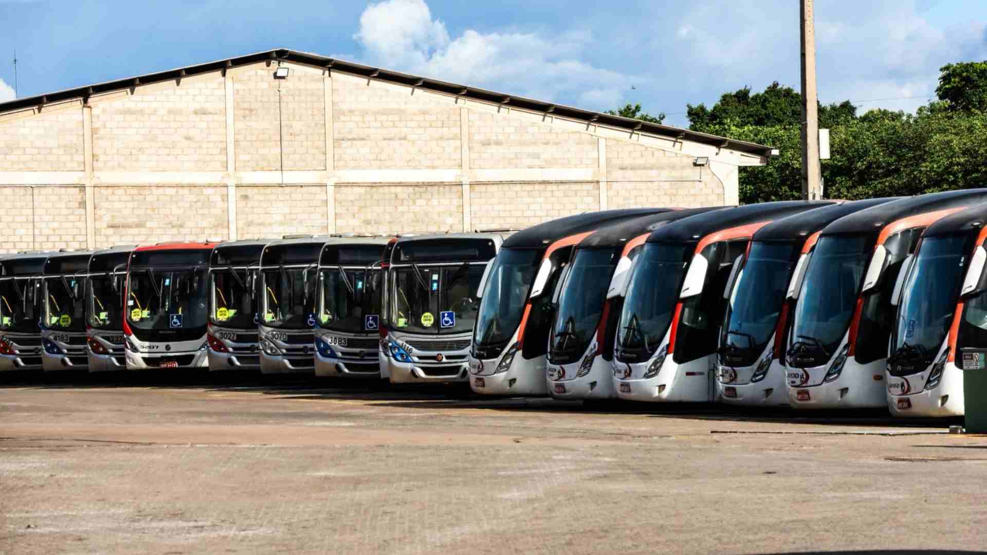 consórcio guaicurus