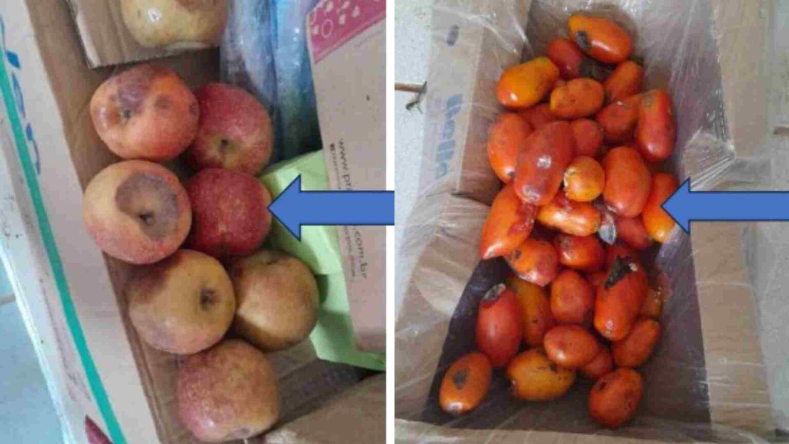 Escândalos de corrupção em 2025 tiveram de prefeito preso a vice detida com maconha em MS