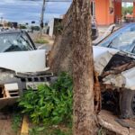 VÍDEO: Motorista colide com árvore em acidente na Rua Brilhante em Campo Grande