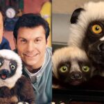 Lembra dele? Nasce Junius, bisneto de lêmure do programa infantil ‘Zoboomafoo’
