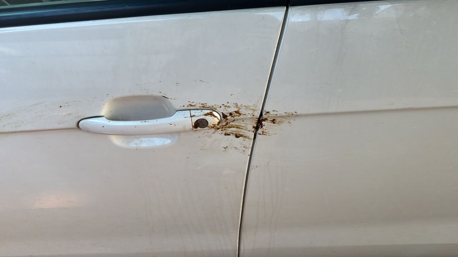 Maçaneta com cocô humano - (Foto: Arquivo Pessoal)