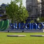 suzano