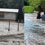 ‘Situação crítica’: 35 famílias pantaneiras ficam desalojadas após cheia do Taquari em Coxim