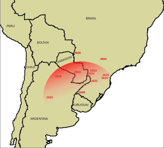 cervo indiano no pantanal