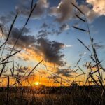 Sexta-feira será de calorão com baixa umidade relativa do ar em MS