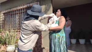 Agentes do CCZ levam vacinação antirrábica para 4 bairros de Campo Grande nesta terça