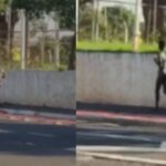 VÍDEO: Homem é flagrado correndo pelado na Avenida Gury Marques