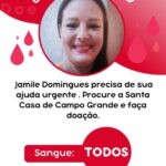Família pede doação de sangue para Jamile e busca autor do atropelamento