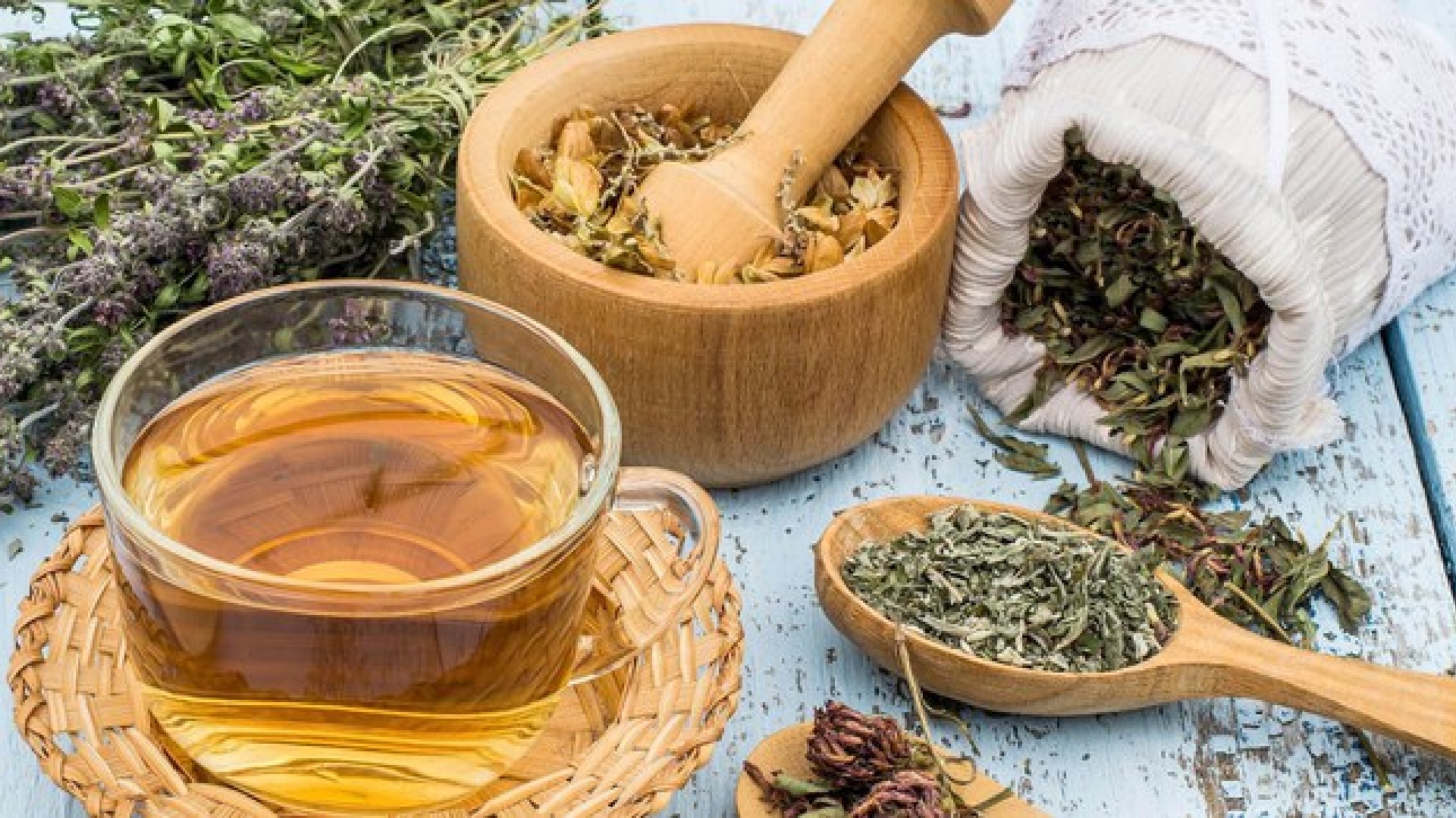 Plantas medicinais e fitoterápicos no SUS