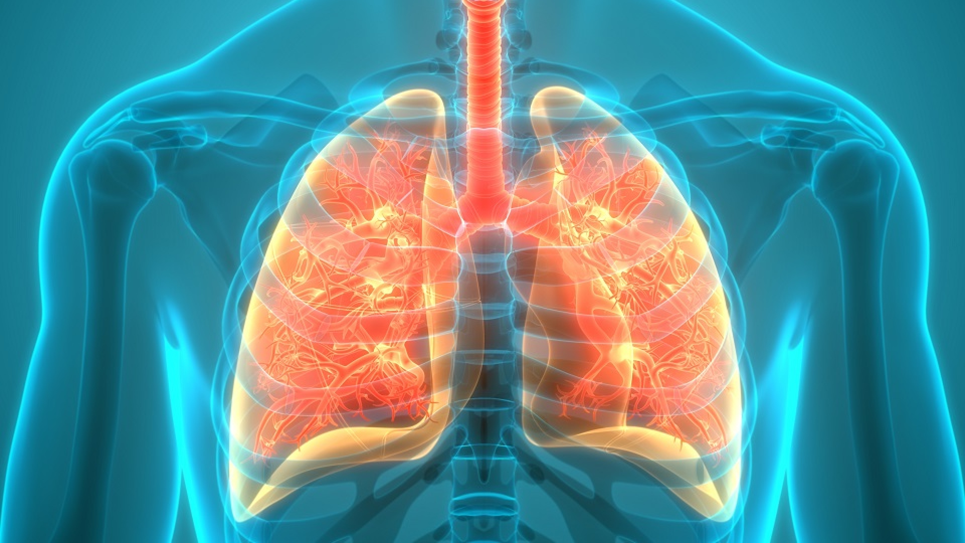 Doença afeta o pulmão