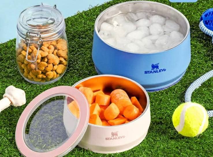 Stanley entra no mercado pet com pote térmico que mantém água gelada e ração fresca