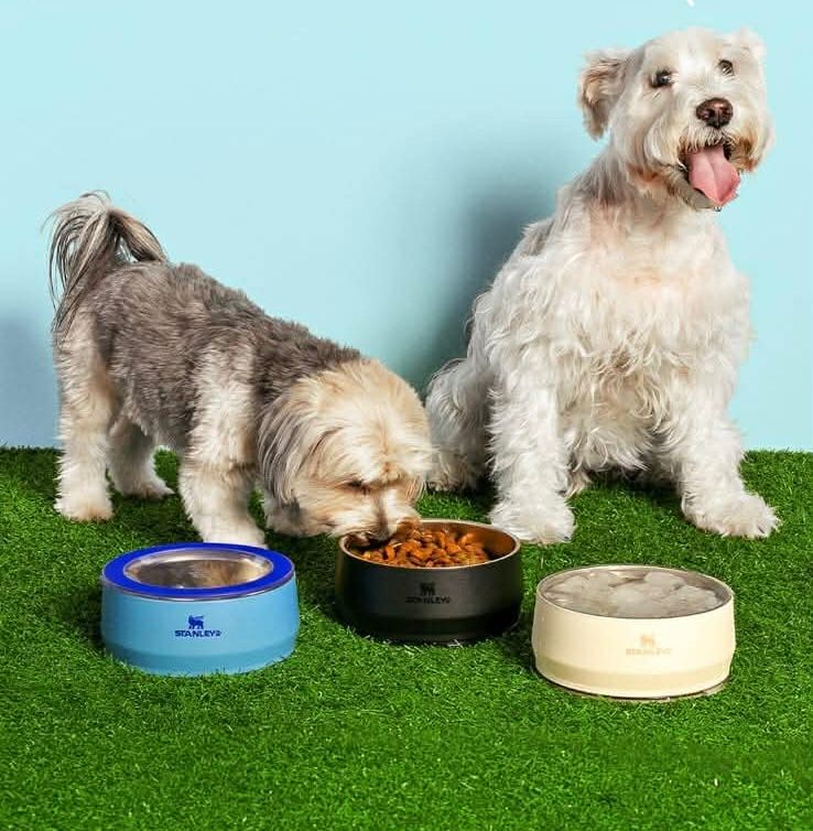 Stanley entra no mercado pet com pote térmico que mantém água gelada e ração fresca
