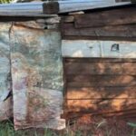 Corpo em decomposição é encontrado em barraco às margens da BR-267