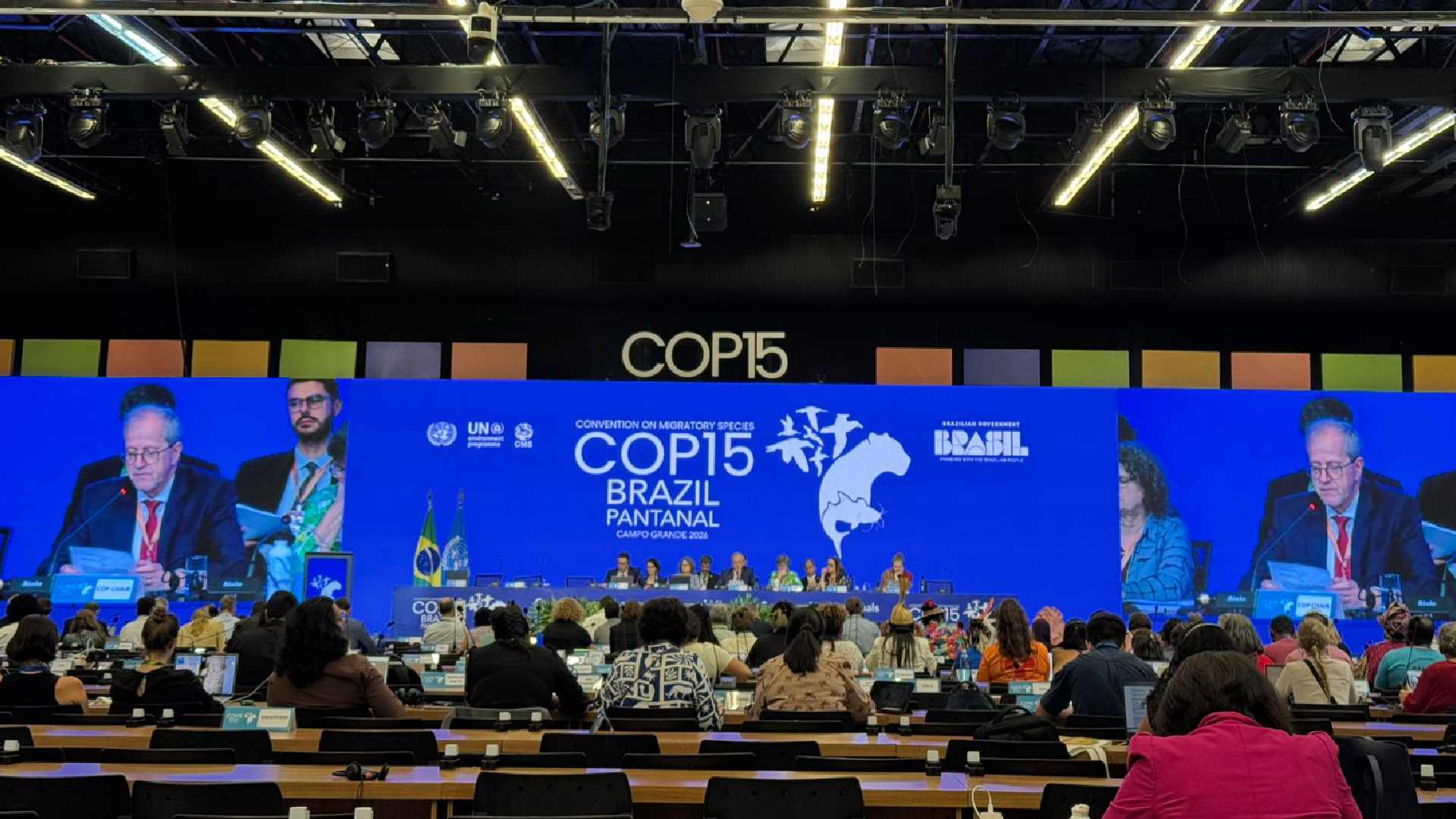 cop15 alemanha brasil