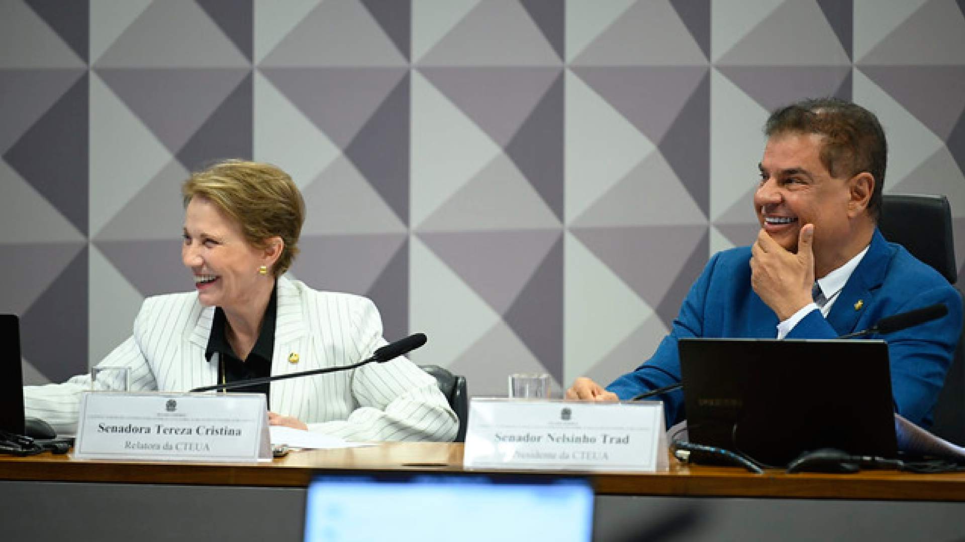 tereza nelsinho senado acordo