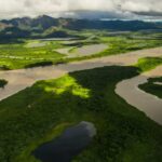 COP15 PANTANAL onu campo grande ms
